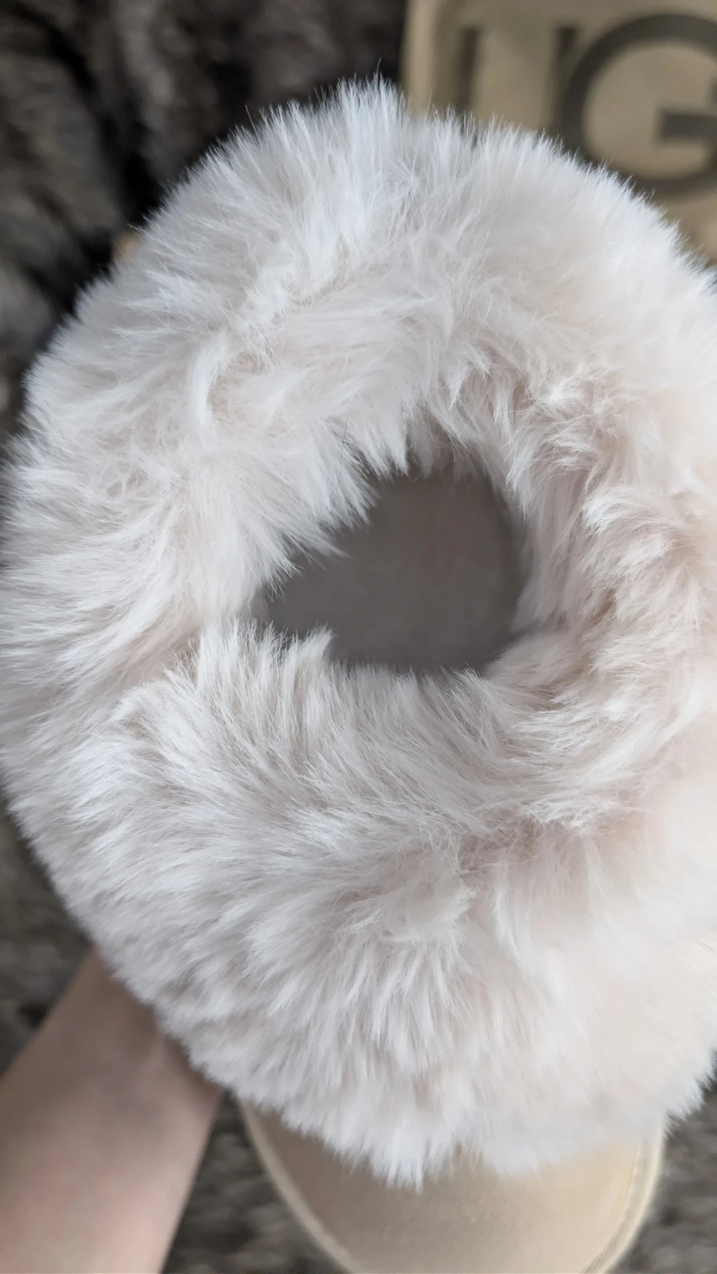 UGG Tazelle Bej 4