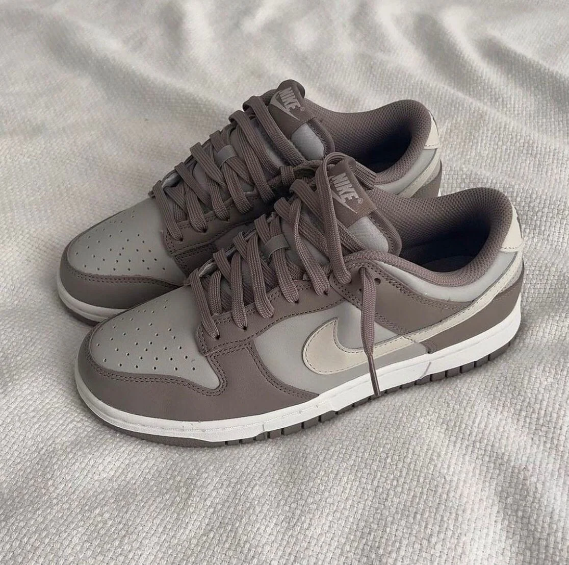 Dunk Low Nova