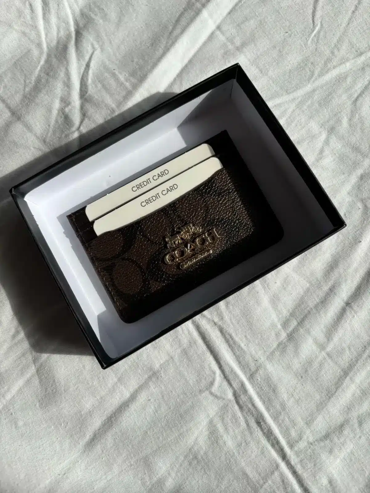 Coach Kartlık - Görsel 2