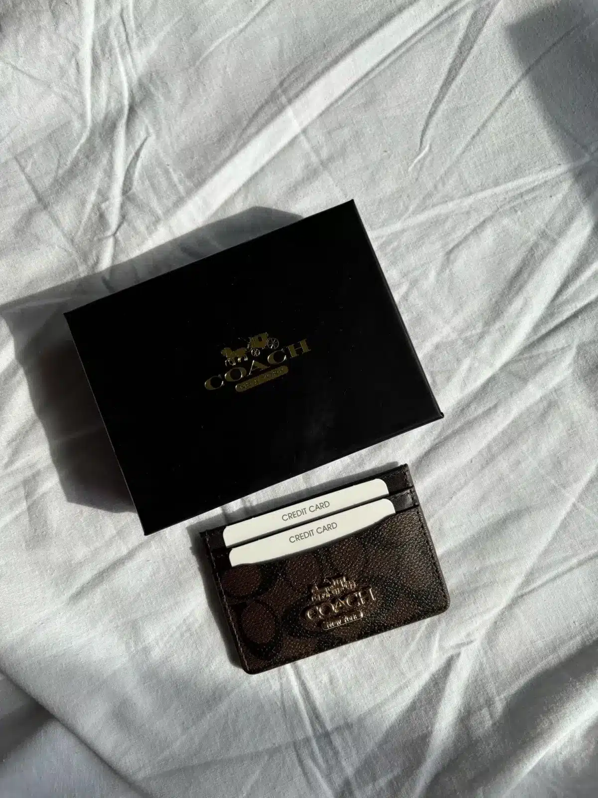 Coach Kartlık - Görsel 3