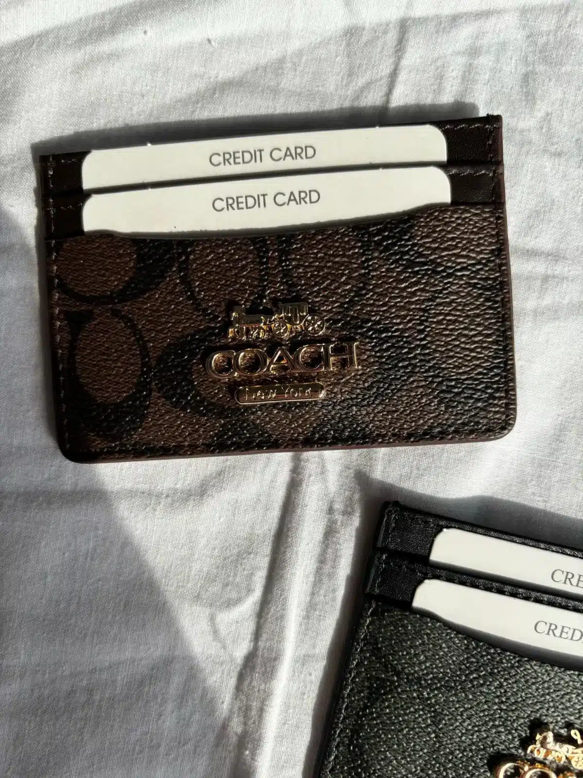 Coach Kartlık - Görsel 4