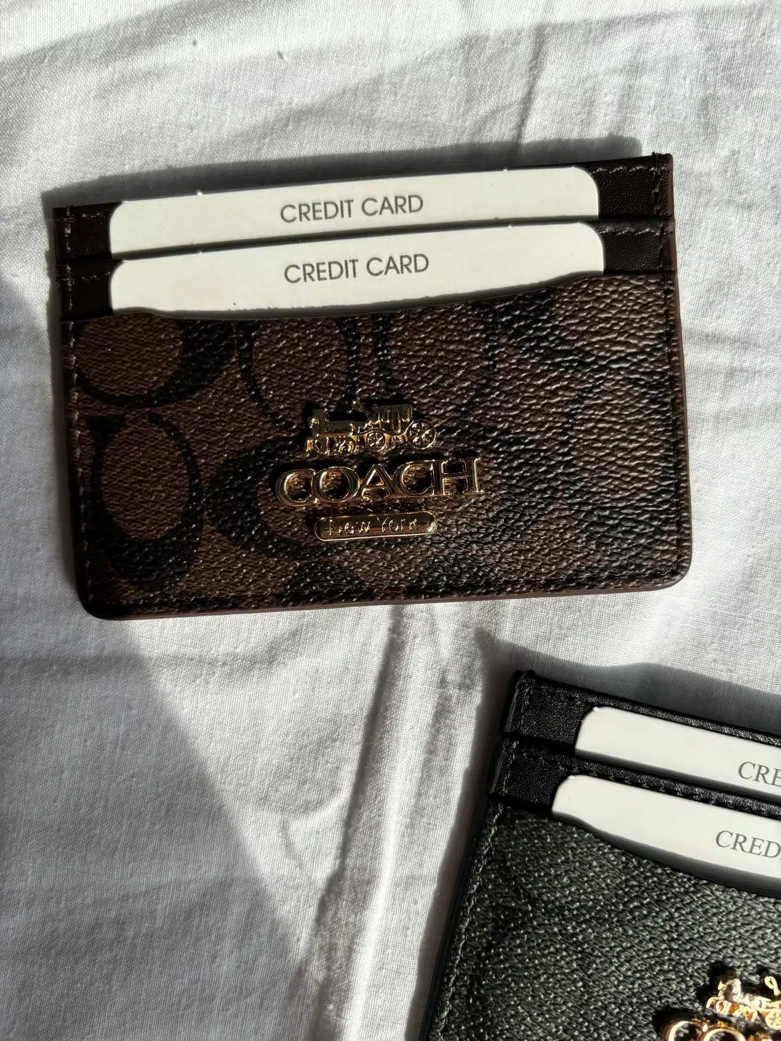 whatsapp-image-2025-03-02-at-17 (3) Coach Kartlık - Görsel 1