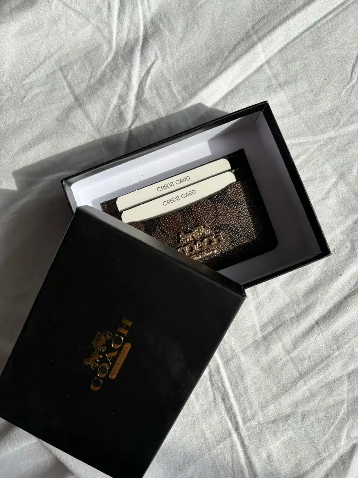 Coach Kartlık - Görsel 5